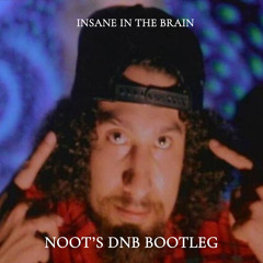 insane in the brain (DNB BOOTLEG)