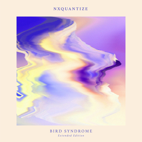 NxQuantize -  Shluhmy (Goldie B Remix)