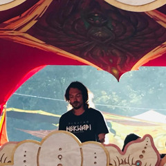 PLEXIGO @ Waldfrieden Wonderland Festival 2025  (  Dj set )