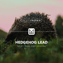 Hedgehog Lead for ARGON8