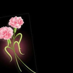 sovereign tape 🪷 vol. 1