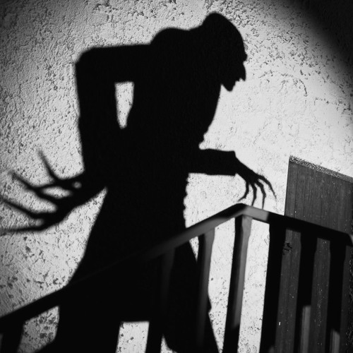 Shadows | STL NiNjA x ARCH FDX