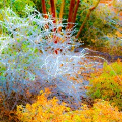 Love still perseveres