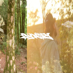 lovebomb... #dynasty ₊⋆.˚⊹ ᡣ𐭩 .₊° ༘˙⋆
