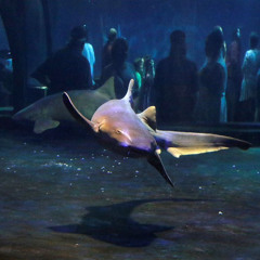 i just want to make something beautiful