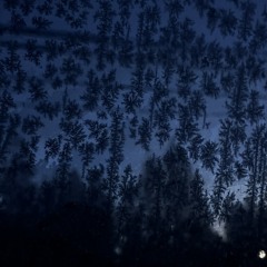 Snowing Nights