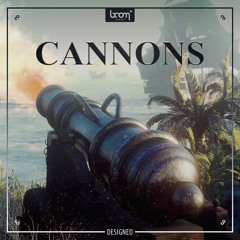 CANNONS | Designed Demo