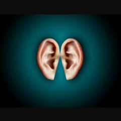 Ear Bouncing Echoes
