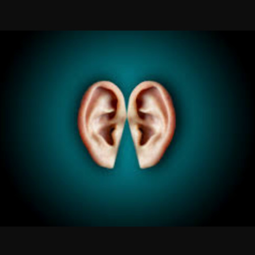 Ear Bouncing Echoes