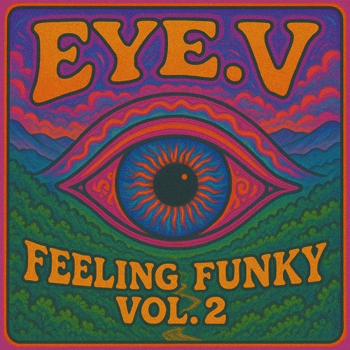 Feeling Funky Vol. 2 - Funktafest Edition