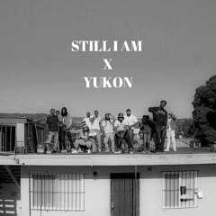 STILL I AM X YUKON