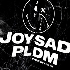 PLDM #3