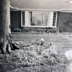 The lights gone out of her now (demo).wav