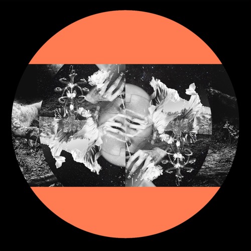 IARLTDT016 - Klint - The K9 Doggo