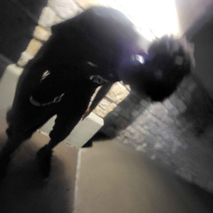 BALLKNOWLEDGE (PROD.Riplucky)