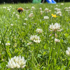 Wakey wakey eggs and bakey nigga