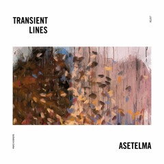 Transient Lines - Integrate (Deep Ändi Remix)