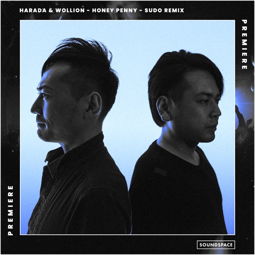 Premiere: Harada & Wollion - Honey Penny (SUDO Remix) [Ignite! Records]