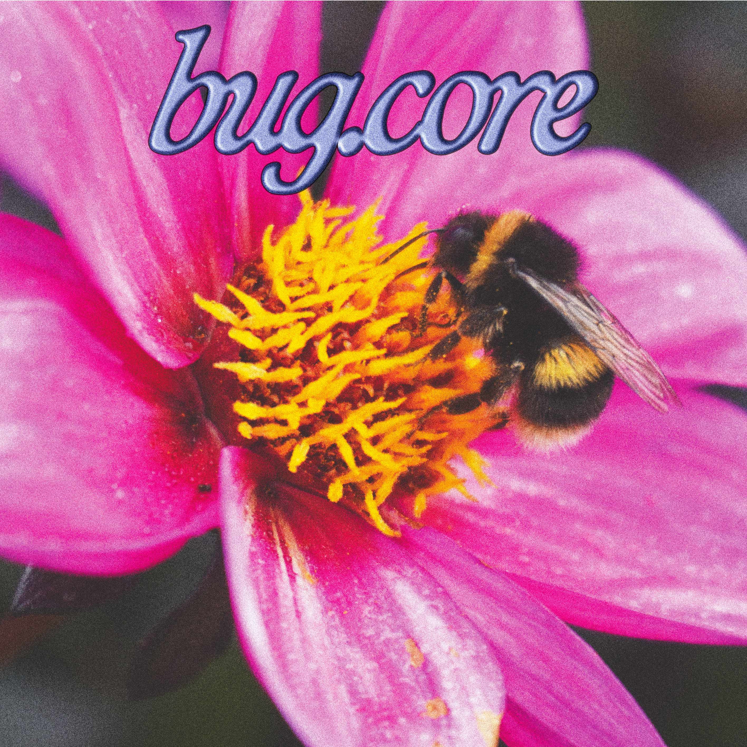 bug.core #2
