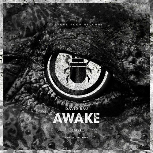 David Bau - Awake (KUSP Remix)