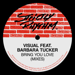 Bring You Love (feat. Barbara Tucker) [Visual Epic Klub Mix]