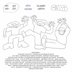 arthurs wechsler's Calm radio mix