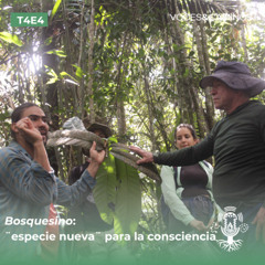 Bosquesino: «especie nueva» para la consciencia