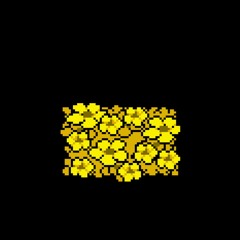 09 - Determination (ASG Version)