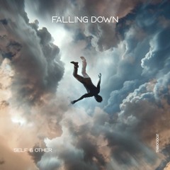 Self & Other - Falling Down