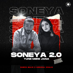 Annural Khalid x Hamza Malik Song Tune Mere Jaana