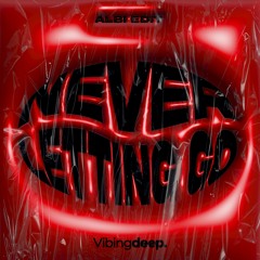Albi - Never Letting Go (Albi Edit)