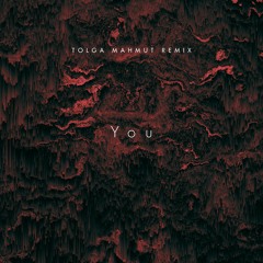 Regard x Troye Sivan x Tate McRae - You ( Tolga Mahmut Remix )