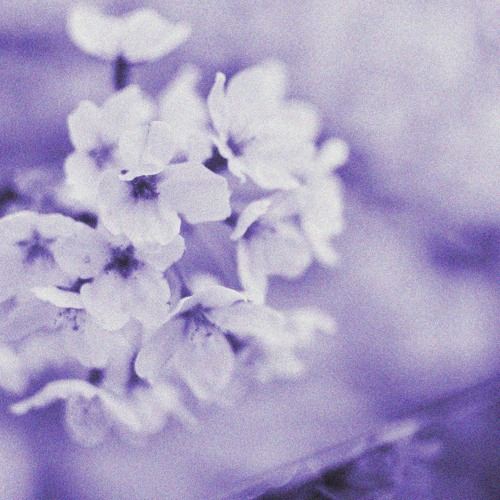 the last thing you sent me