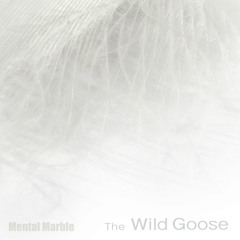 The Wild Goose (Plugged)