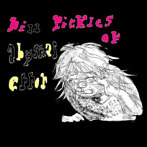 dill pickles of abysmal error