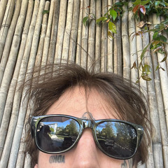 Steven Moses - post post lullaby mortem 4holli