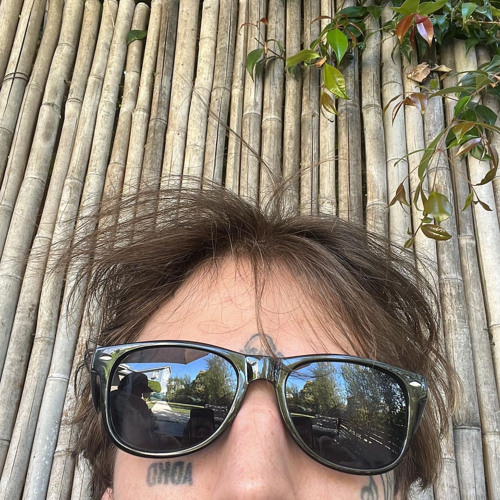 Steven Moses - post post lullaby mortem 4holli