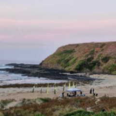 Back to Berry beach