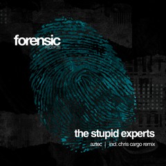 The Stupid Experts 'Aztec' Chris Cargo Remix ' Forensic Records