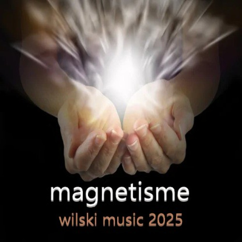 magnetisme.