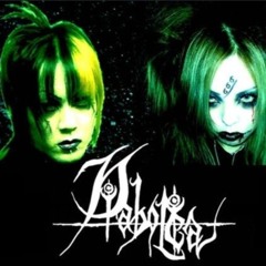 Black metal/vkei