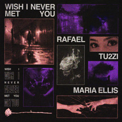 RAFAEL, Tu2Zi & Maria Ellis - Wish I Never Met You