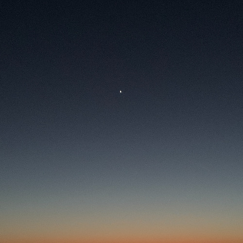 Orbit Type Mix [02]
