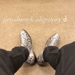 streetstories2 star9s