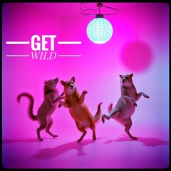 Get Wild