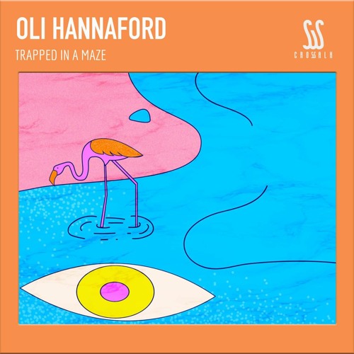 Oli Hannaford - Trapped In A Maze