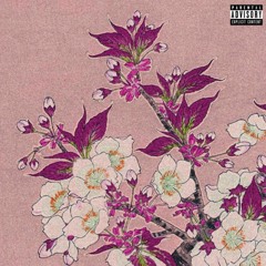 Pink Dolphin PROD. Donnie Katana (Feat. OBTHEGOD, LilCoolie, Off-Brand)