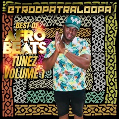 BEST OF AFROBEATS TUNEZ VOLUME 1 @TroopaTraloopa (NO TALKING)