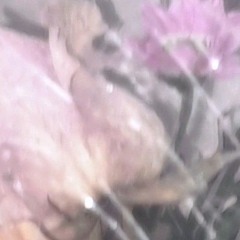 wedding-march-for-a-friend