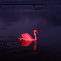 faded [@1trvuma & @syn]